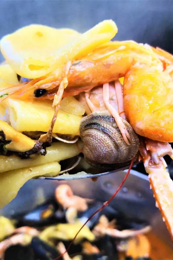 pacchero scoglio3